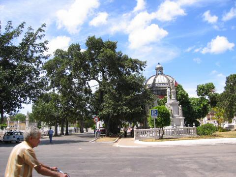 2004AnniversaryTrip0044-Cuba-Cemetery