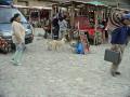 MachuPichu2005-00124-Ollantaytambo-MarketWithDogs