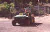 Reunion2002CabinAndyGator.jpg (127626 bytes)